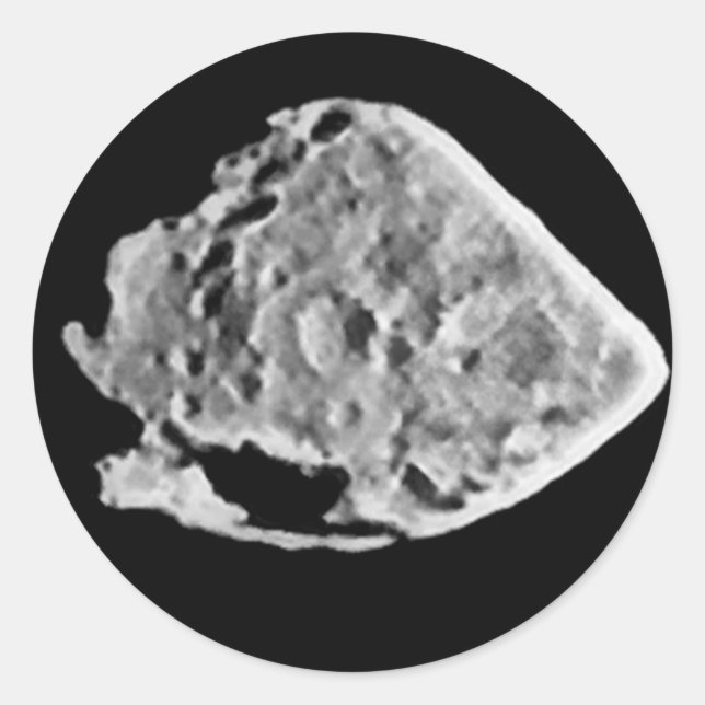 2867 Steins (1969 VC)  Classic Round Sticker (Front)