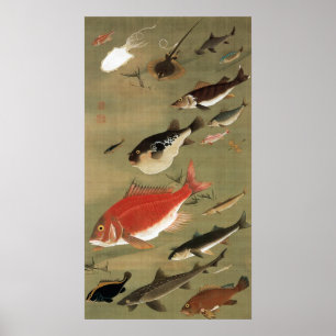 28. 群魚図, 若冲 Various Fishes, Jakuchū, Japan Art Poster
