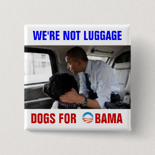 28 more years Dogs for Obama 15 Cm Square Badge