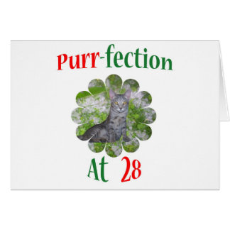 28 Purr-fection