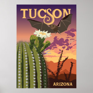 28"x20" Bat and Saguaro - Tucson, Arizona Poster