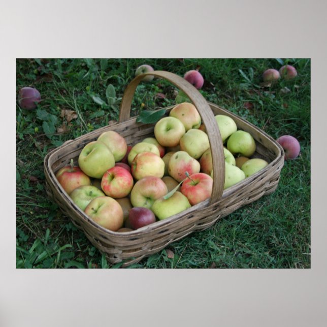 28" x 20", Value Poster Paper (Matte) (Front)