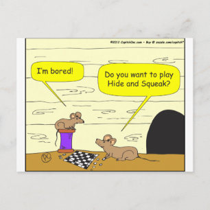 295 hide and squeak cartoon postcard