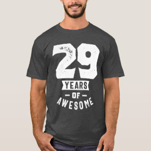 29 Year Old Gift   29th Birthday Gift Ideas T-Shirt