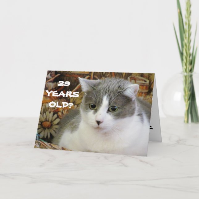 29? You've Cat to Be Kitten Me Card (Front)