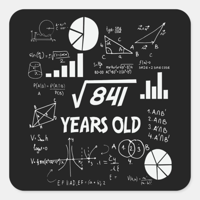 29th Birthday Square Root Math 29 Years Old Bday Sticker (Front)