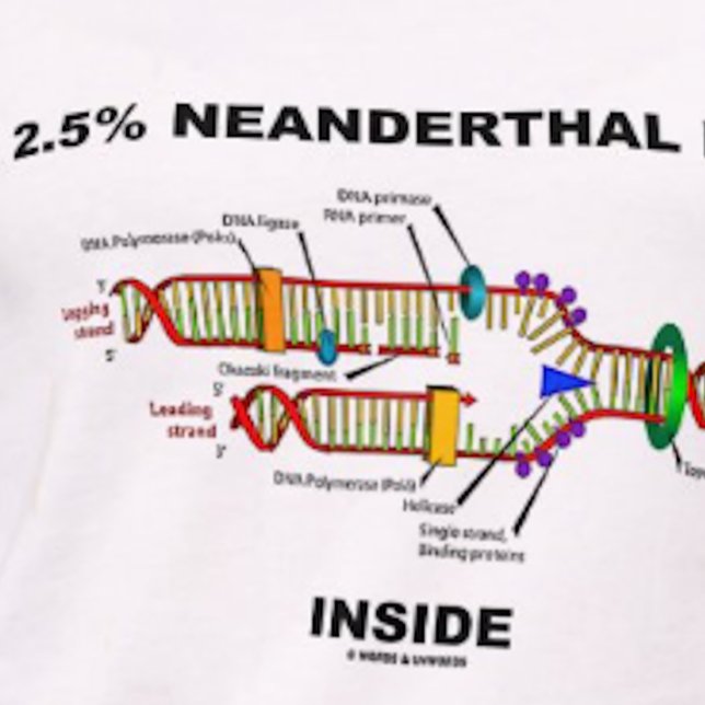 2.5% Neanderthal DNA Inside (DNA Replication) T-Shirt (Tee featuring DNA replication + the saying "2.5% Neanderthal [DNA] Inside" for any Homo sapien)