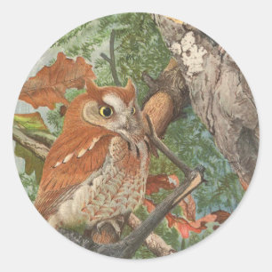 2 angry vintage owls in a tree classic round sticker