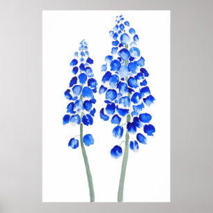 2 blue abstract grape hyacinth watercolor poster