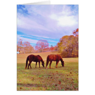 2 Brown horses in a coloured field