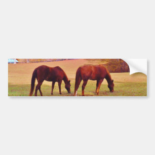 2 Brown horses in a coloured field Bumper Sticker