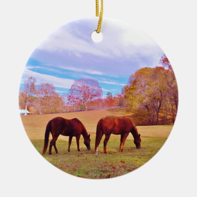 2 Brown horses in a coloured field Ceramic Tree Decoration (Front)