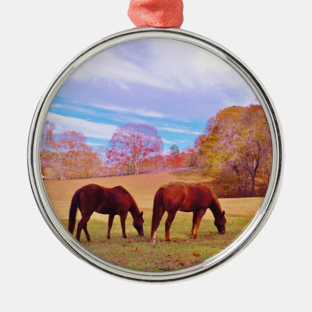 2 Brown horses in a coloured field Metal Ornament (Front)
