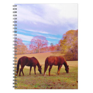 2 Brown horses in a coloured field Notebook