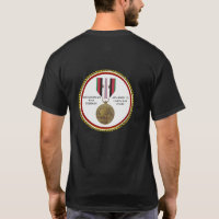 2 CAMPAIGN STARS AFGHANISTAN WAR VETERAN