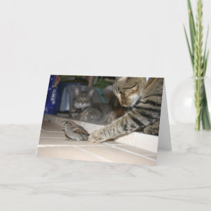 2 cats and a Bird Card