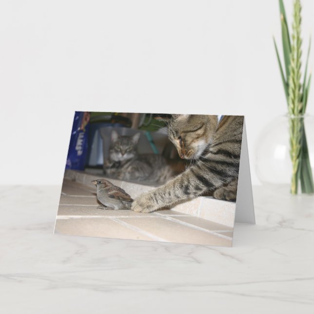 2 cats and a Bird Card (Front)