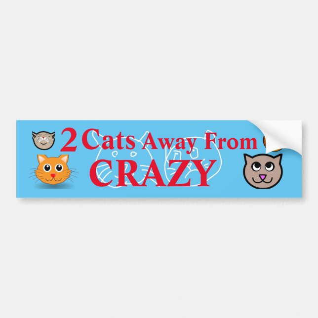 2 Cats Away From Crazy Bumper Sticker (Front)