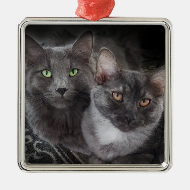 2 cats green eyes orange eyes grey cat black cat   metal ornament (Front)