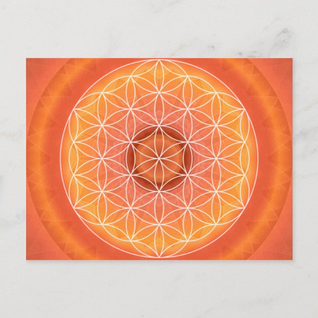 2 Chakra Flower of Life orange Postcard (Front)