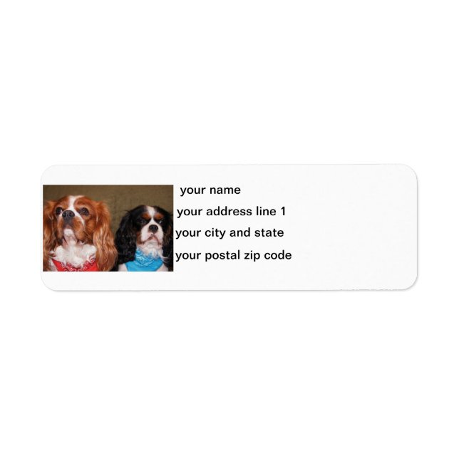 2 ckcs return address label (Front)