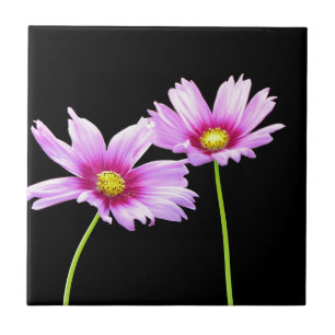 2 Cosmos Ceramic Tile