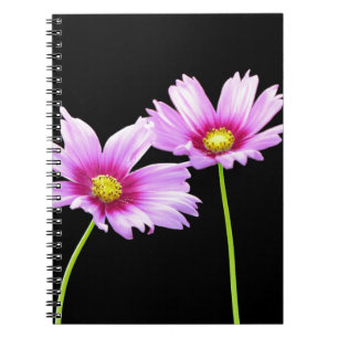 2 Cosmos Notebook