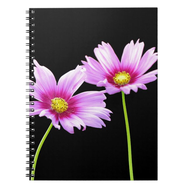 2 Cosmos Notebook (Front)