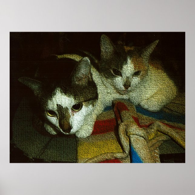 2 Curious Kits Poster (Front)