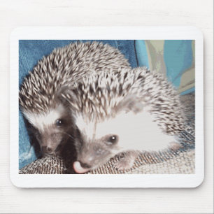 2 cute hedgehogs mouse pad