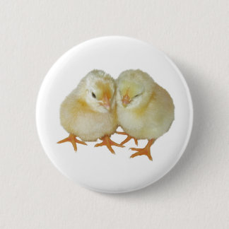 2 Cute Yellow Basque Chicks 6 Cm Round Badge