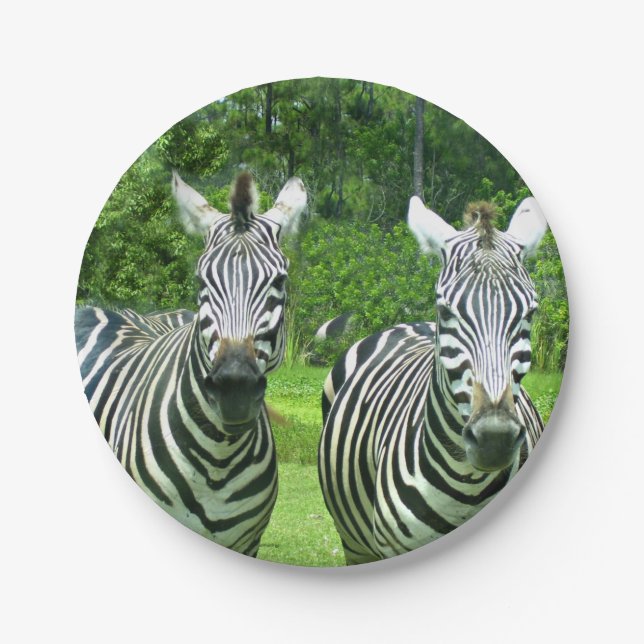 2 Cute Zebras Paper Plate (Front)