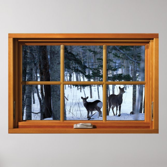 2 Deers in the Winter Snow Window Illusion Poster (Front)
