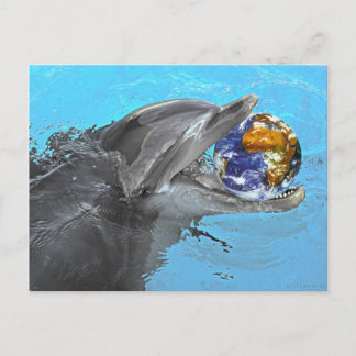 2 different dolphins on this postcard