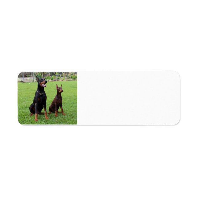 2 dobies.png return address label (Front)