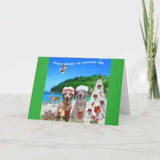 2 Dogs Celebrating Xmas on an Island Beach Holiday Card