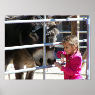 2 Donkeys at Jackalope Santa Fe NM Poster