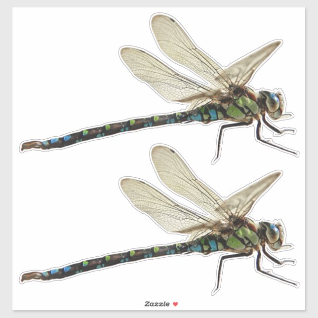 (2) Dragonfly Custom-Cut Vinyl Stickers (Sheet)