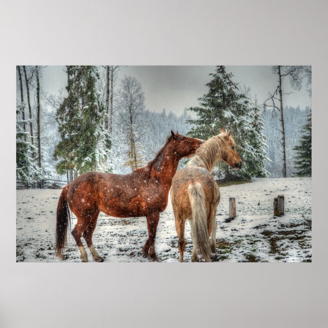 2 Friendly Ranch Horses, Dun, Palomino Paint Photo Poster (Front)