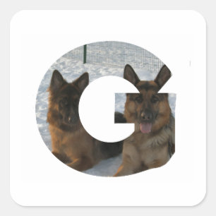 2 german shepherds in letter g.png square sticker