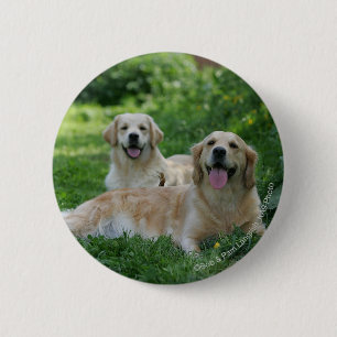 2 Golden Retrievers Laying in Grass 6 Cm Round Badge