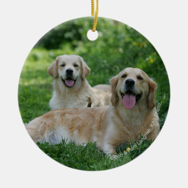 2 Golden Retrievers Laying in Grass Ceramic Ornament (Front)