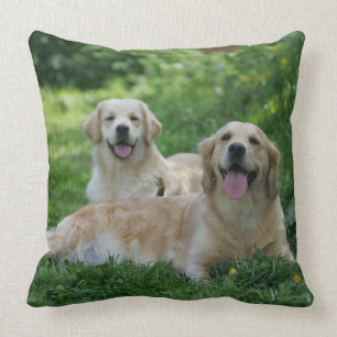 2 Golden Retrievers Laying in Grass Cushion