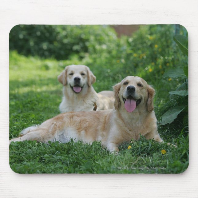 2 Golden Retrievers Laying in Grass Mouse Pad (Front)