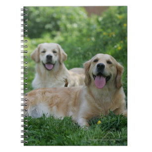 2 Golden Retrievers Laying in Grass Notebook