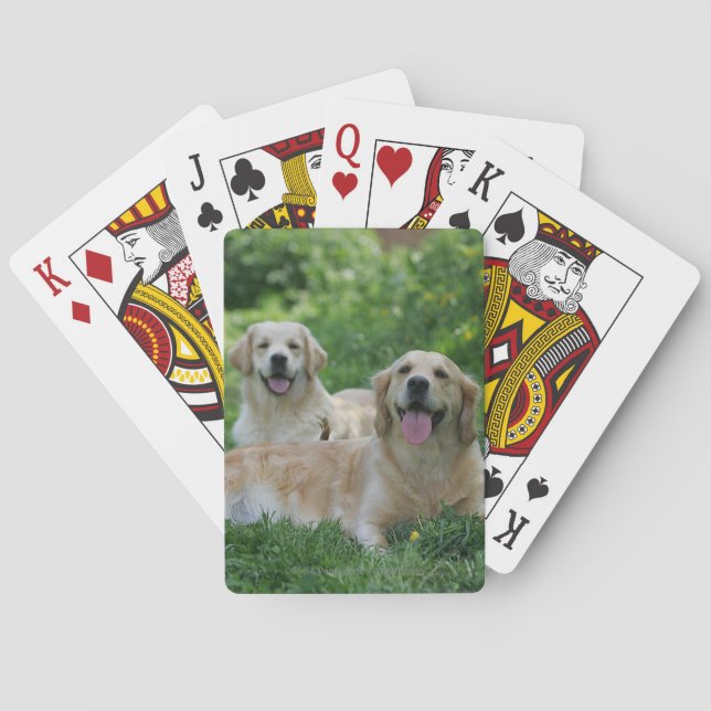 2 Golden Retrievers Laying in Grass Playing Cards (Back)