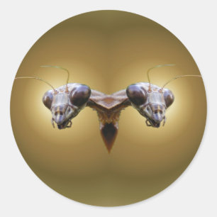 2 Head Mantis ~ sticker