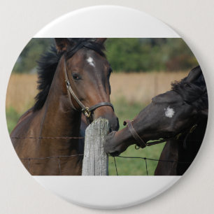 2 Horses Chewing a Fence Post 6 Cm Round Badge