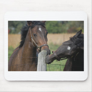 2 Horses Chewing a Fence Post Mouse Pad