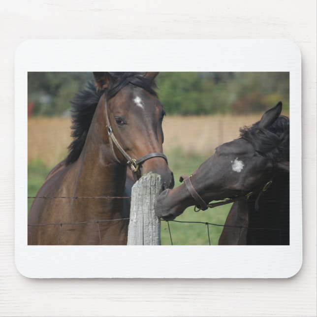 2 Horses Chewing a Fence Post Mouse Pad (Front)